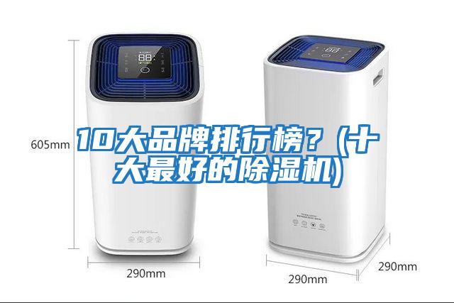 10大品牌排行榜？(十大最好的除濕機)