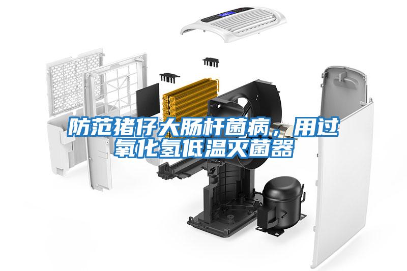 防范豬仔大腸桿菌病，用過氧化氫低溫滅菌器