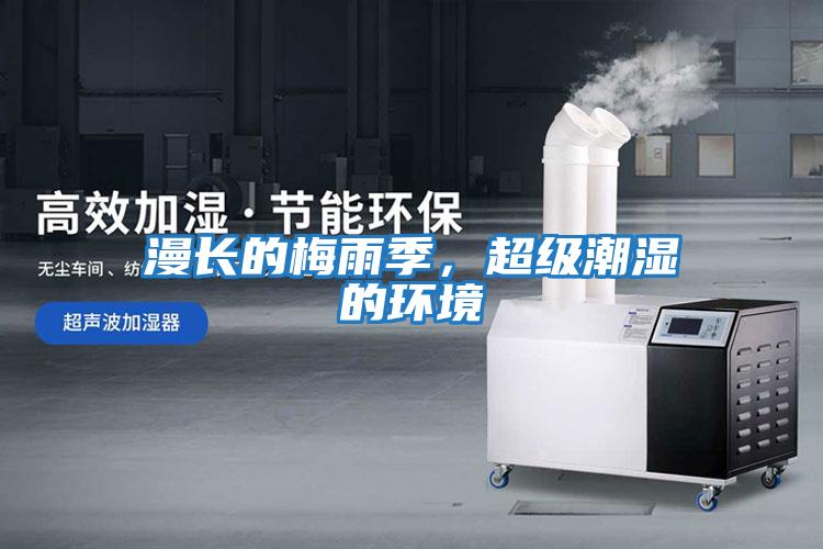 漫長的梅雨季，超級潮濕的環境