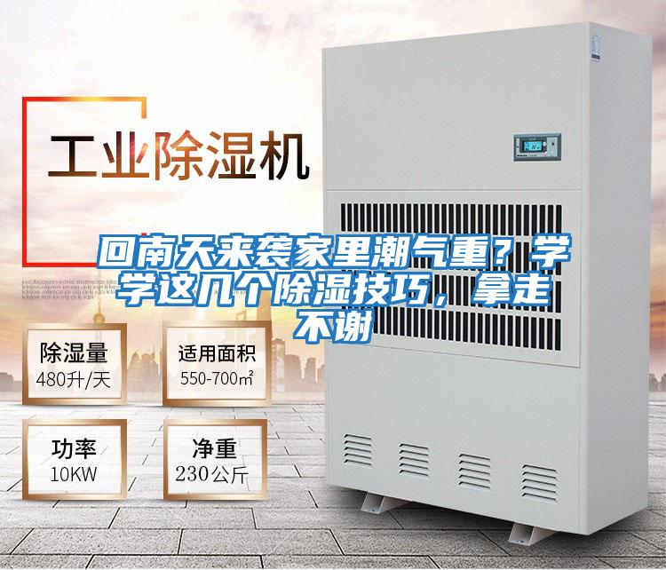 回南天來襲家里潮氣重？學(xué)學(xué)這幾個(gè)除濕技巧，拿走不謝