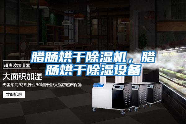 臘腸烘干除濕機，臘腸烘干除濕設備