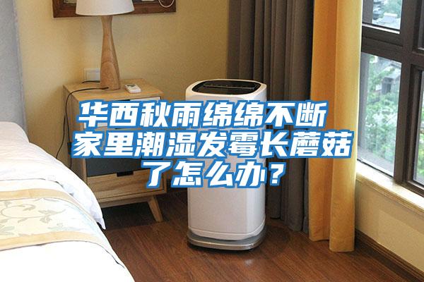 華西秋雨綿綿不斷 家里潮濕發(fā)霉長蘑菇了怎么辦?