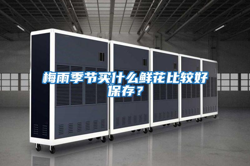 梅雨季節(jié)買(mǎi)什么鮮花比較好保存？