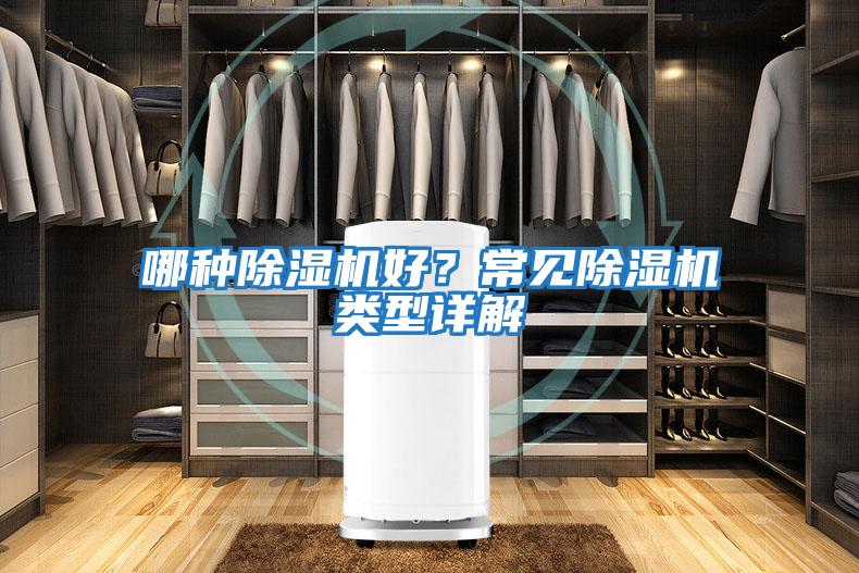 哪種除濕機好？常見除濕機類型詳解