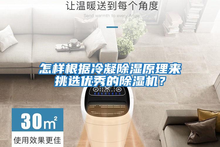 怎樣根據冷凝除濕原理來挑選優秀的除濕機?