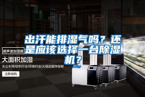 出汗能排濕氣嗎？還是應該選擇一臺除濕機？