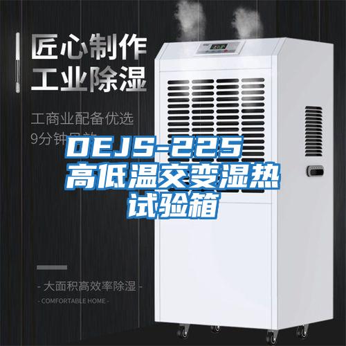 DEJS-225 高低溫交變濕熱試驗箱