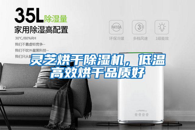 靈芝烘干除濕機，低溫高效烘干品質好