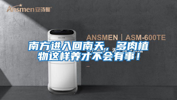 南方進入回南天，多肉植物這樣養才不會有事！