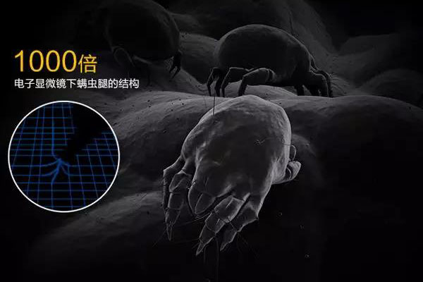螨蟲高發(fā)季，家用除濕機(jī)除螨有妙計(jì)！_重復(fù)