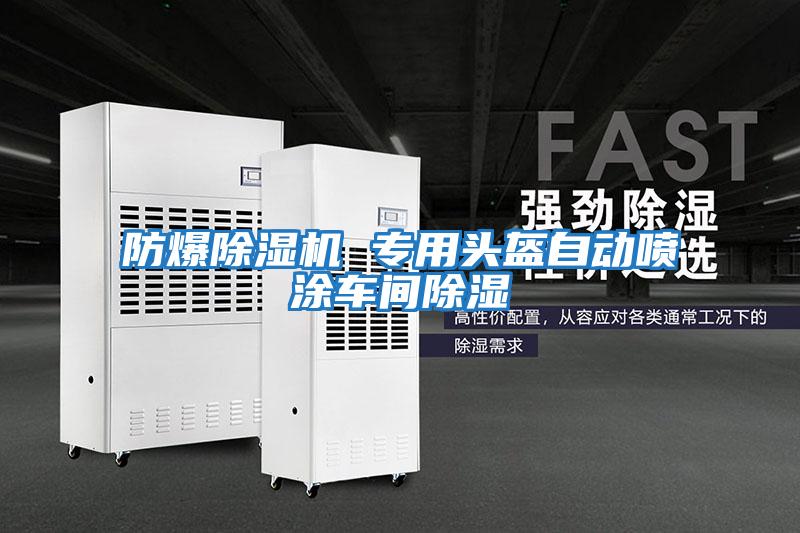 防爆除濕機(jī) 專用頭盔自動(dòng)噴涂車(chē)間除濕