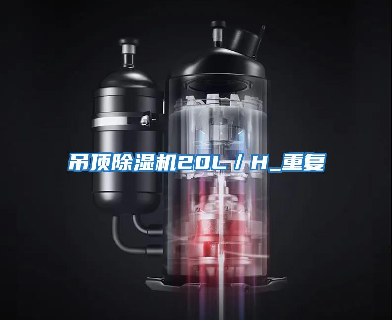 吊頂除濕機(jī)20L/H_重復(fù)