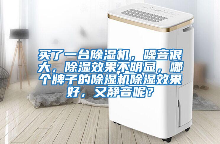 買了一臺除濕機，噪音很大，除濕效果不明顯，哪個牌子的除濕機除濕效果好，又靜音呢？