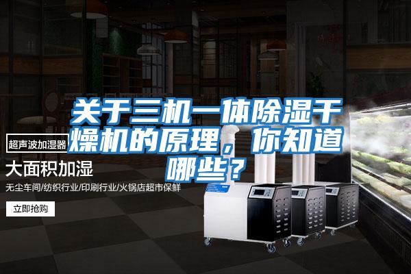 關于三機一體除濕干燥機的原理，你知道哪些？