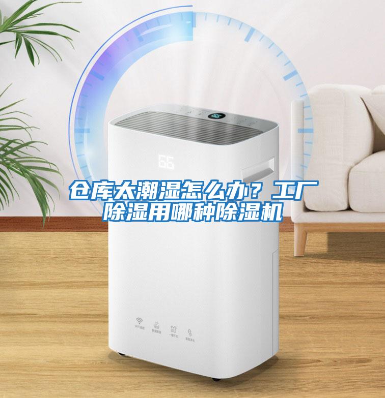 倉(cāng)庫(kù)太潮濕怎么辦？工廠除濕用哪種除濕機(jī)