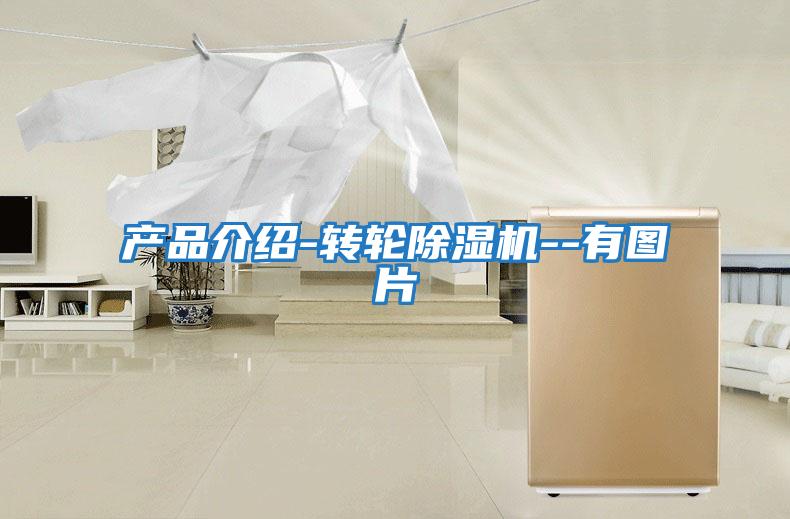產(chǎn)品介紹-轉(zhuǎn)輪除濕機--有圖片