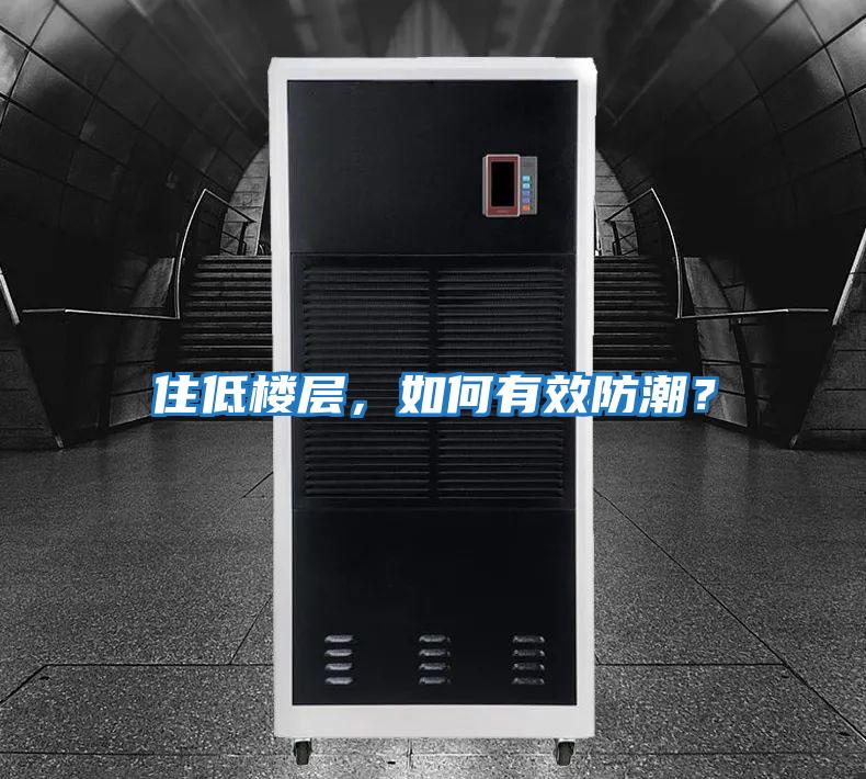 住低樓層，如何有效防潮？