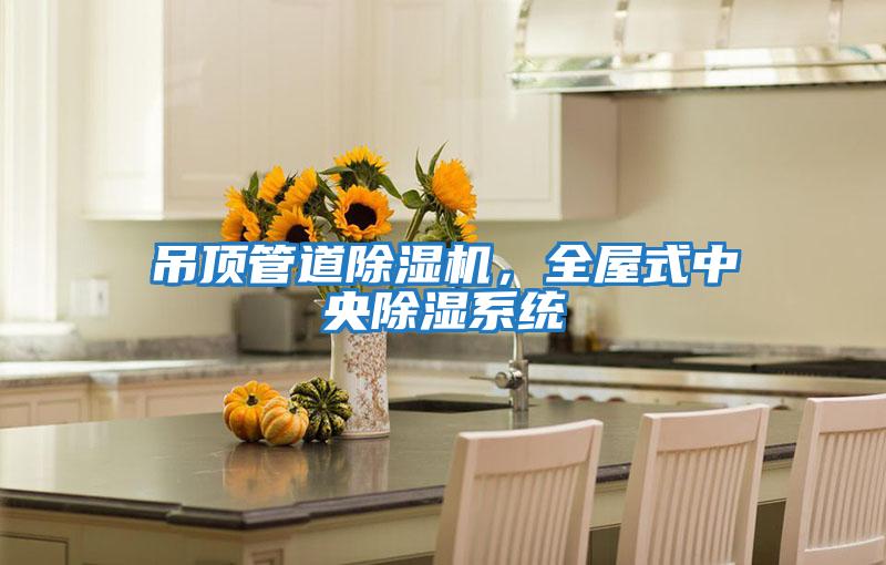 吊頂管道除濕機(jī),全屋式中央除濕系統(tǒng)