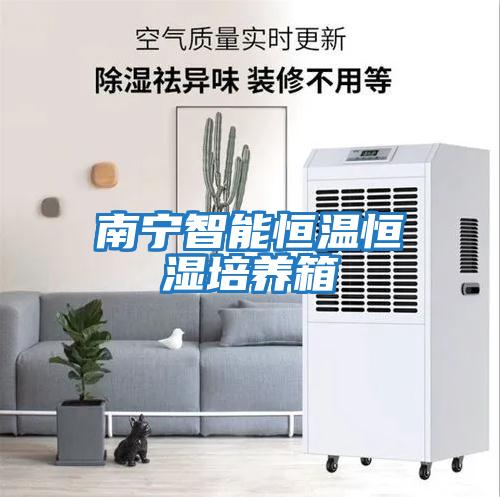 南寧智能恒溫恒濕培養箱