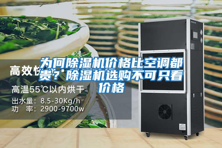 為何除濕機價格比空調都貴？除濕機選購不可只看價格