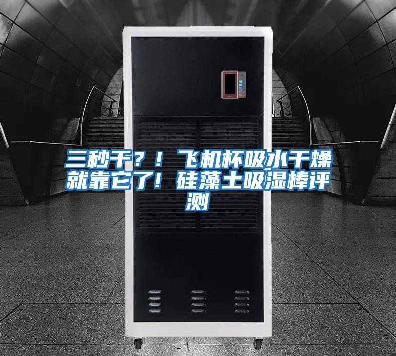 三秒干？! 飛機(jī)杯吸水干燥就靠它了! 硅藻土吸濕棒評(píng)測