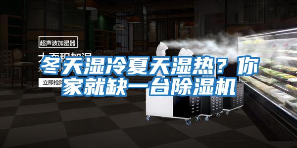 冬天濕冷夏天濕熱?你家就缺一臺除濕機