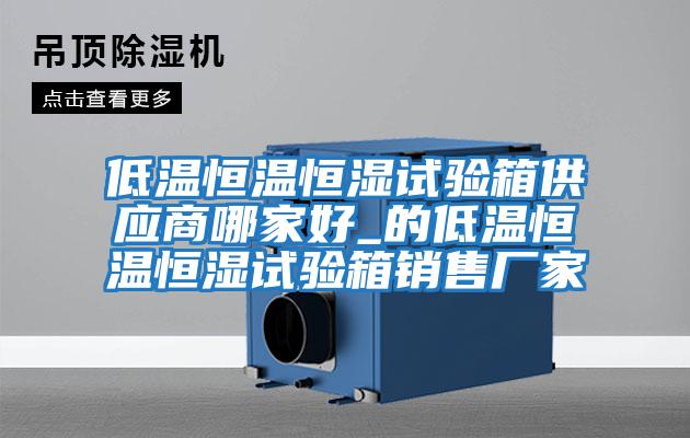 低溫恒溫恒濕試驗(yàn)箱供應(yīng)商哪家好_的低溫恒溫恒濕試驗(yàn)箱銷(xiāo)售廠家