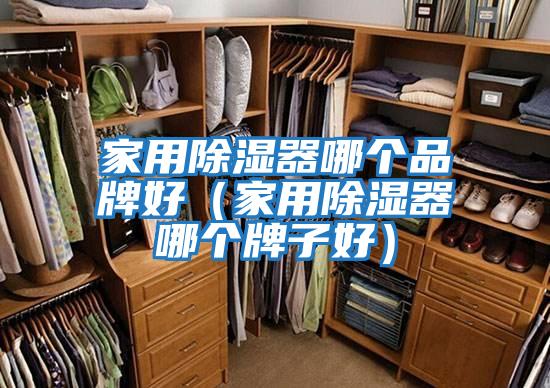 家用除濕器哪個(gè)品牌好(家用除濕器哪個(gè)牌子好)