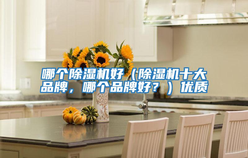 哪個除濕機好（除濕機十大品牌，哪個品牌好？）優質