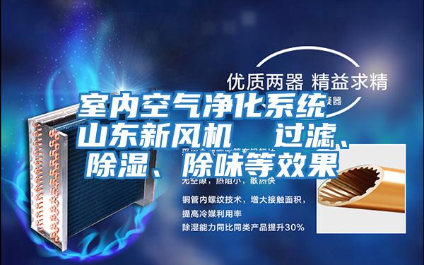 室內(nèi)空氣凈化系統(tǒng) 山東新風(fēng)機(jī)  過濾、除濕、除味等效果