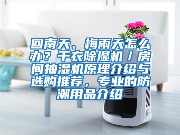 回南天、梅雨天怎么辦？干衣除濕機(jī)／房間抽濕機(jī)原理介紹與選購?fù)扑]，專業(yè)的防潮用品介紹