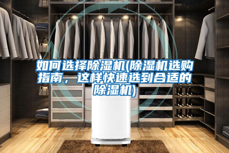 如何選擇除濕機(除濕機選購指南，這樣快速選到合適的除濕機)