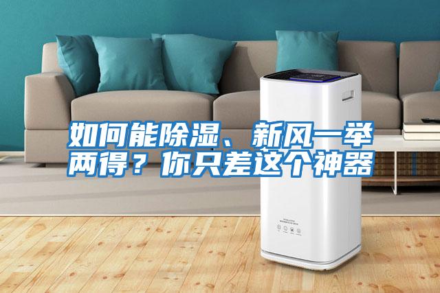 如何能除濕、新風一舉兩得？你只差這個神器