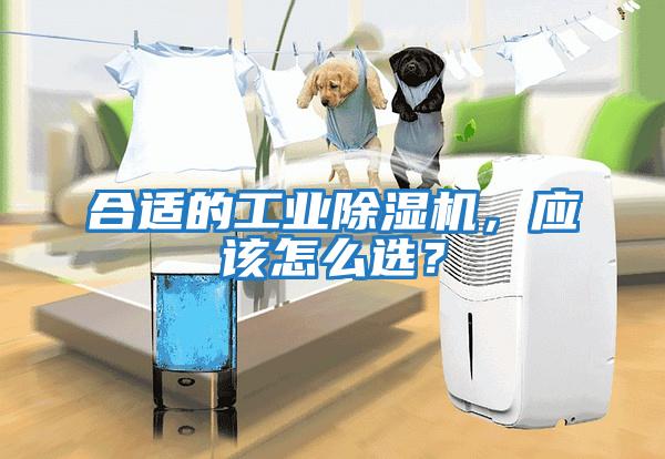 合適的工業除濕機，應該怎么選？