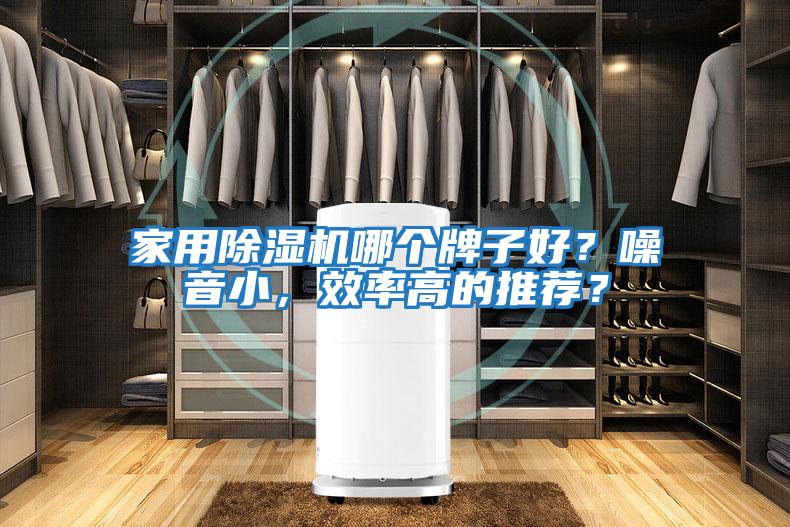 家用除濕機(jī)哪個(gè)牌子好？噪音小，效率高的推薦？