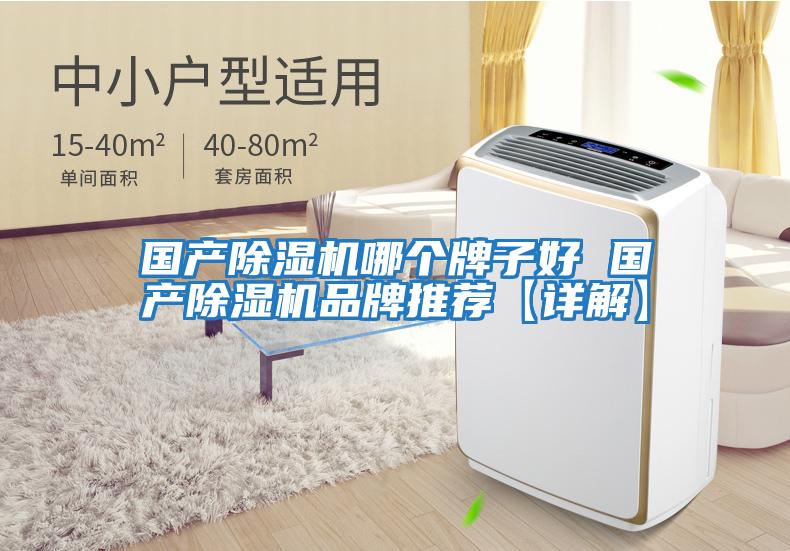 國產(chǎn)除濕機(jī)哪個牌子好 國產(chǎn)除濕機(jī)品牌推薦【詳解】