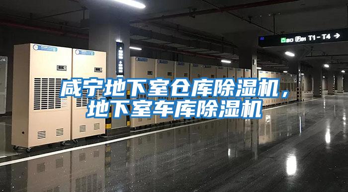 咸寧地下室倉庫除濕機，地下室車庫除濕機