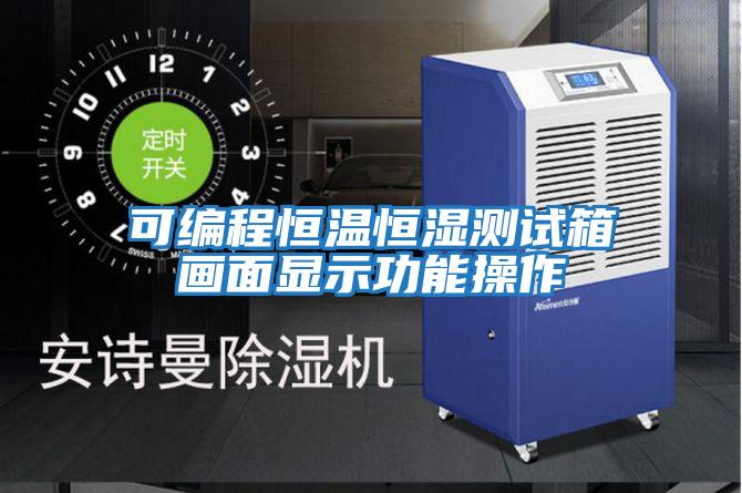 可編程恒溫恒濕測(cè)試箱畫(huà)面顯示功能操作