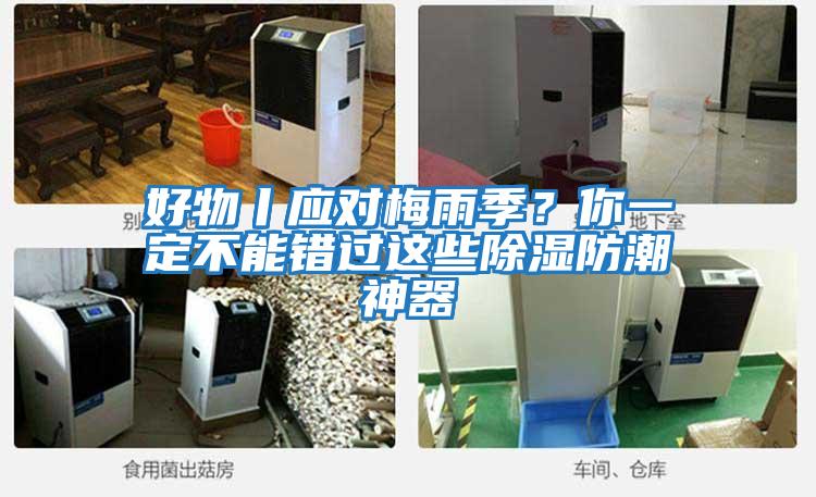 好物丨應(yīng)對梅雨季?你一定不能錯過這些除濕防潮神器