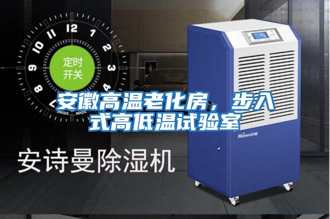 安徽高溫老化房，步入式高低溫試驗室