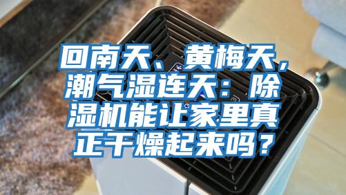 回南天、黃梅天，潮氣濕連天：除濕機(jī)能讓家里真正干燥起來嗎？
