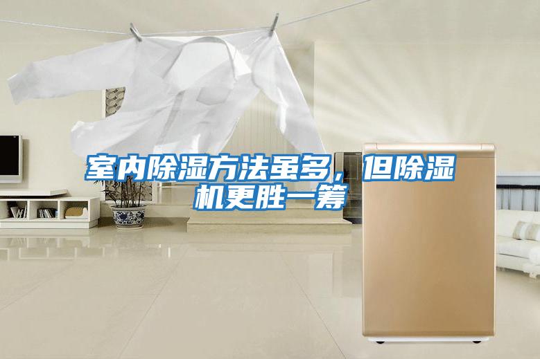 室內除濕方法雖多，但除濕機更勝一籌