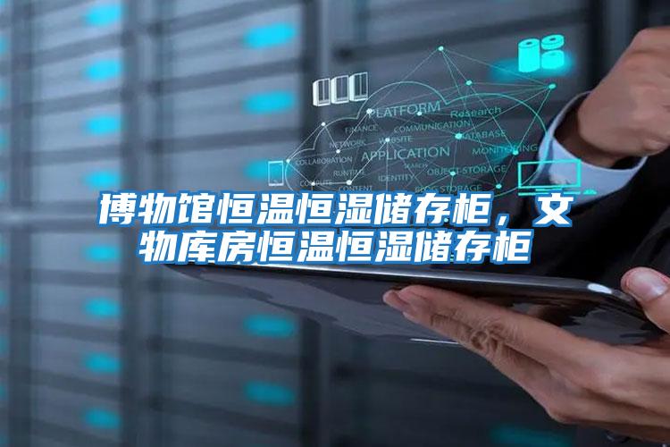 博物館恒溫恒濕儲(chǔ)存柜,文物庫房恒溫恒濕儲(chǔ)存柜
