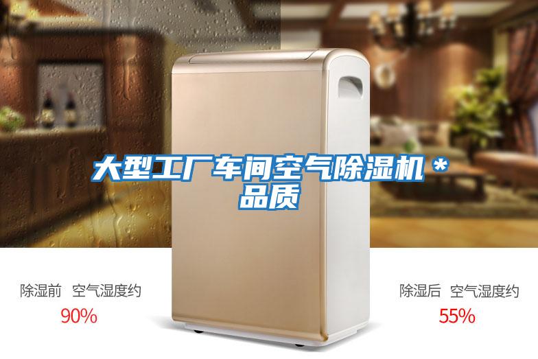 大型工廠車(chē)間空氣除濕機(jī)＊品質(zhì)