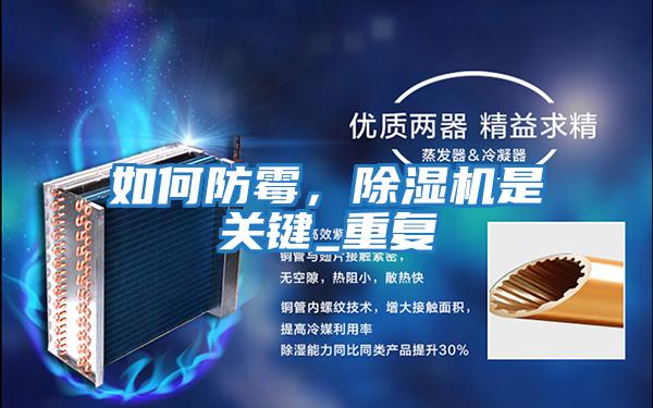 如何防霉，除濕機是關鍵_重復