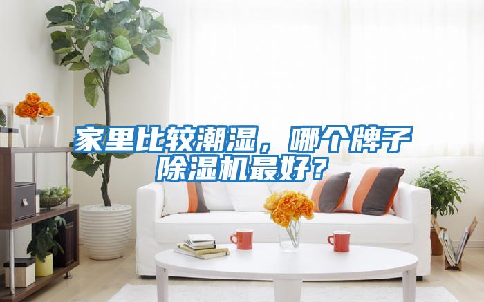 家里比較潮濕，哪個(gè)牌子除濕機(jī)最好？