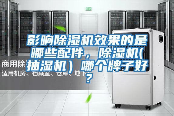 影響除濕機效果的是哪些配件，除濕機(抽濕機）哪個牌子好？