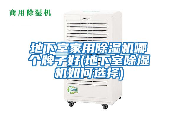 地下室家用除濕機(jī)哪個牌子好(地下室除濕機(jī)如何選擇)