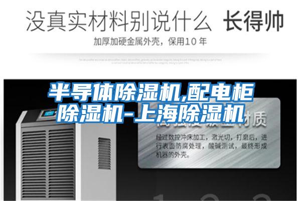 半導體除濕機,配電柜除濕機-上海除濕機