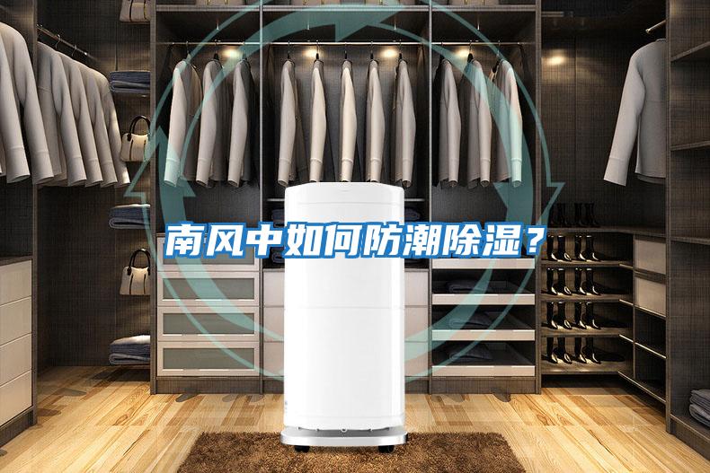 南風(fēng)中如何防潮除濕？
